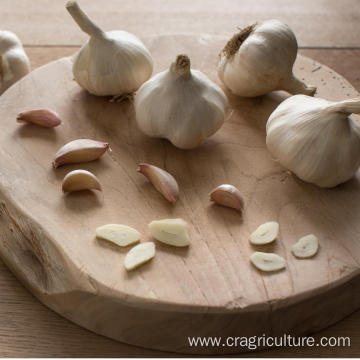 Top Grade Pure White Garlic Price